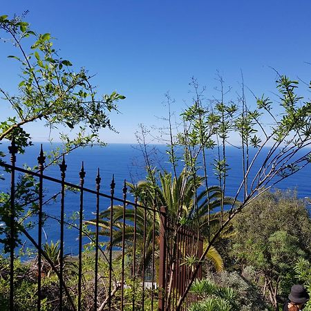 Villa Larnia De Tenerife Sauzal Εξωτερικό φωτογραφία