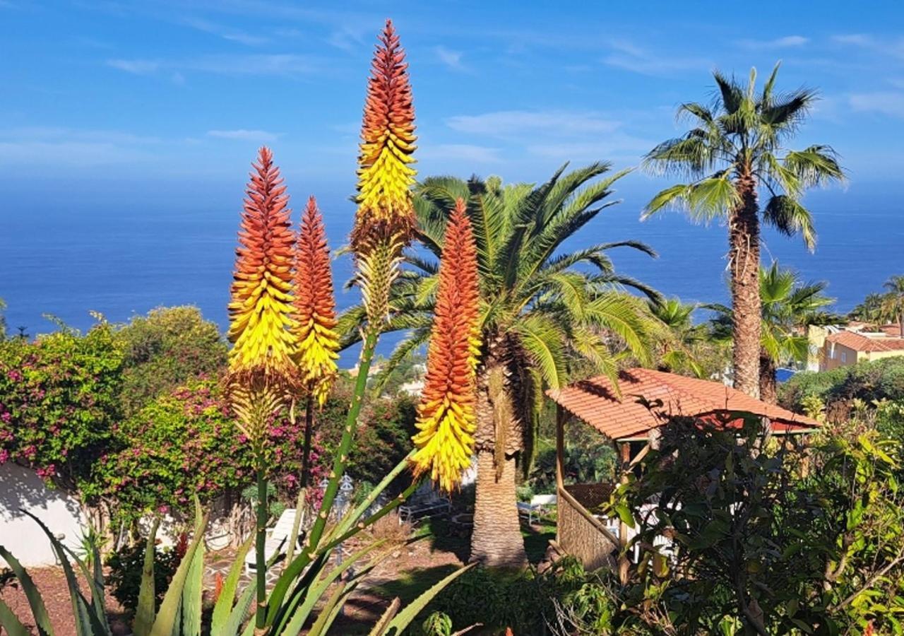 Villa Larnia De Tenerife Sauzal Εξωτερικό φωτογραφία