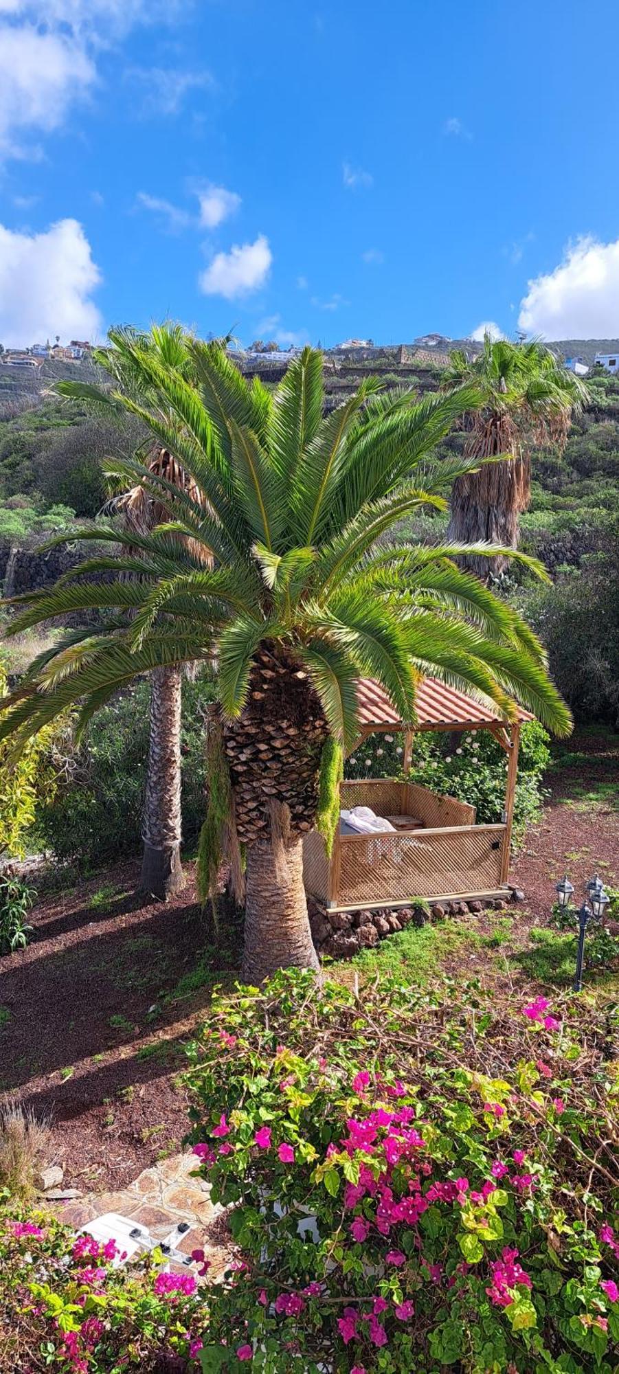 Villa Larnia De Tenerife Sauzal Εξωτερικό φωτογραφία