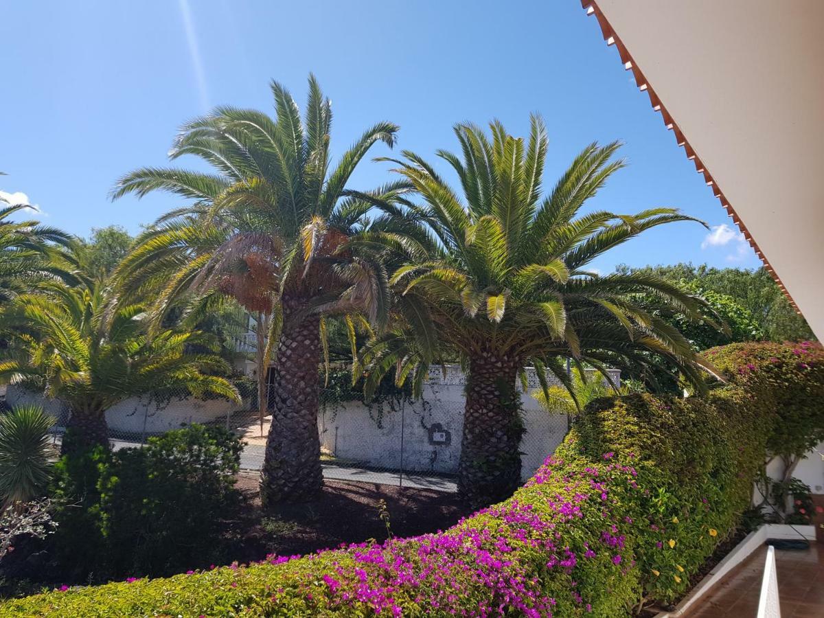 Villa Larnia De Tenerife Sauzal Εξωτερικό φωτογραφία