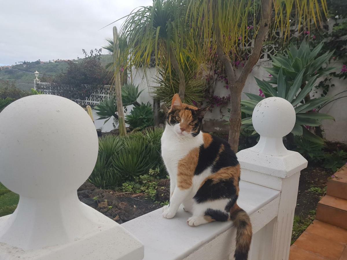 Villa Larnia De Tenerife Sauzal Εξωτερικό φωτογραφία