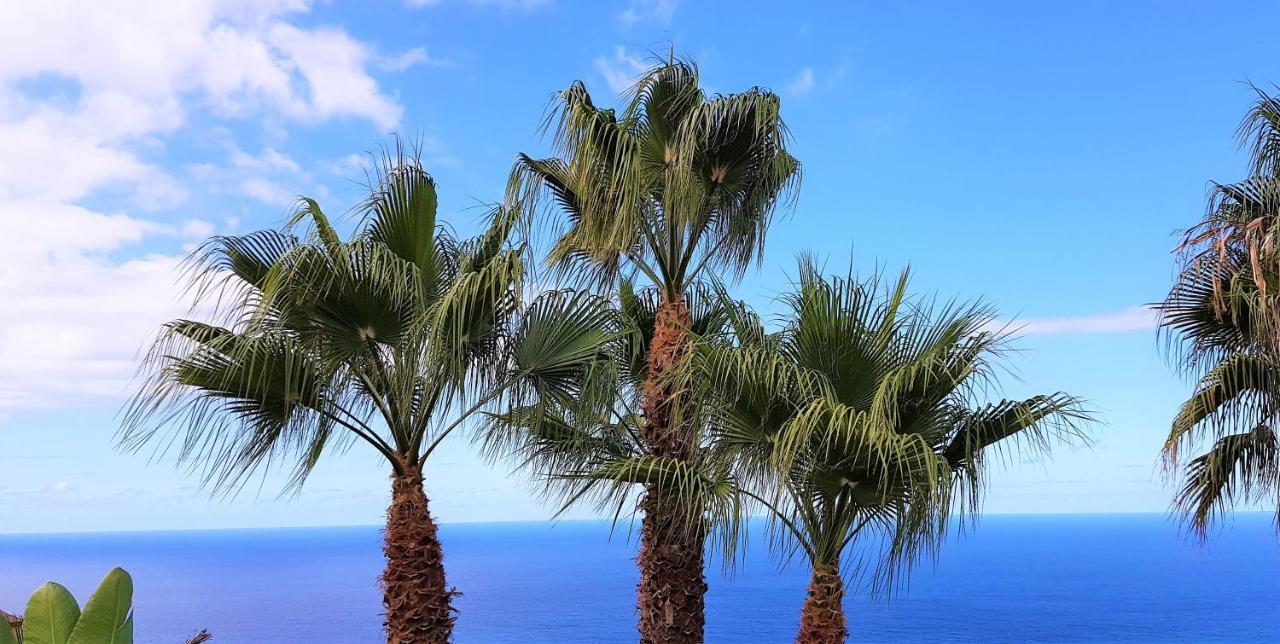 Villa Larnia De Tenerife Sauzal Εξωτερικό φωτογραφία